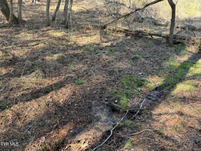 32.08 Acres For Sale in Unicoi County, Tennessee - image 19