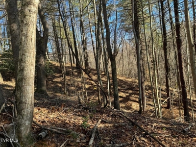 32.08 Acres For Sale in Unicoi County, Tennessee - image 31
