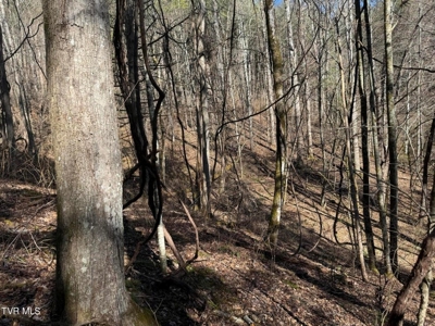 32.08 Acres For Sale in Unicoi County, Tennessee - image 10