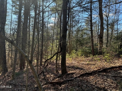 32.08 Acres For Sale in Unicoi County, Tennessee - image 17