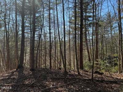 32.08 Acres For Sale in Unicoi County, Tennessee - image 15