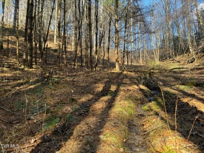 32.08 Acres For Sale in Unicoi County, Tennessee - image 50