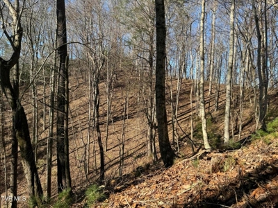 32.08 Acres For Sale in Unicoi County, Tennessee - image 30