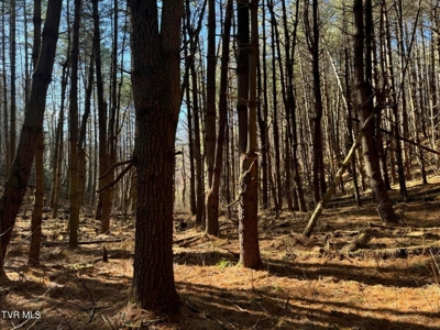 32.08 Acres For Sale in Unicoi County, Tennessee - image 48
