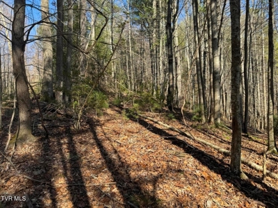 32.08 Acres For Sale in Unicoi County, Tennessee - image 16