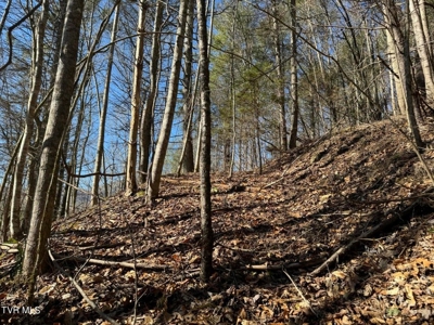 32.08 Acres For Sale in Unicoi County, Tennessee - image 5