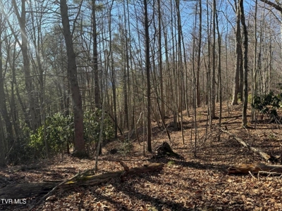 32.08 Acres For Sale in Unicoi County, Tennessee - image 35