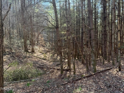 32.08 Acres For Sale in Unicoi County, Tennessee - image 46