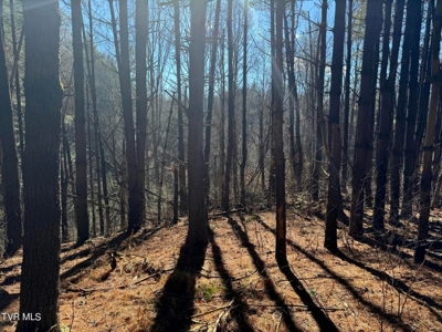 32.08 Acres For Sale in Unicoi County, Tennessee - image 24
