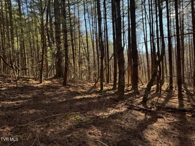 32.08 Acres For Sale in Unicoi County, Tennessee - image 26