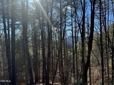 32.08 Acres For Sale in Unicoi County, Tennessee - image 32