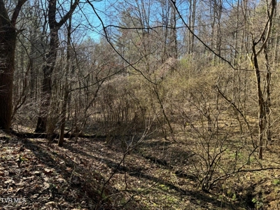 32.08 Acres For Sale in Unicoi County, Tennessee - image 40