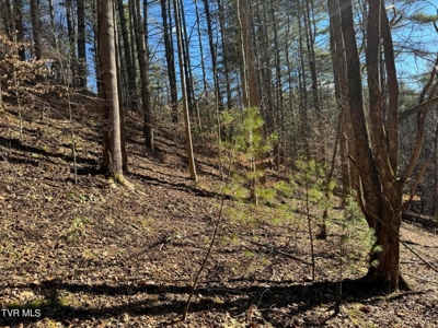 32.08 Acres For Sale in Unicoi County, Tennessee - image 21