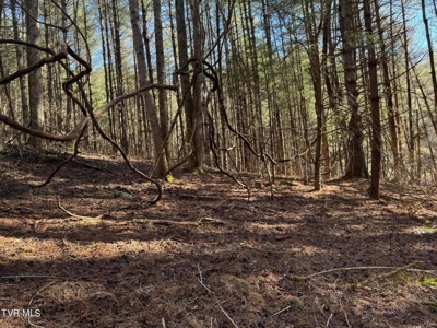 32.08 Acres For Sale in Unicoi County, Tennessee - image 25