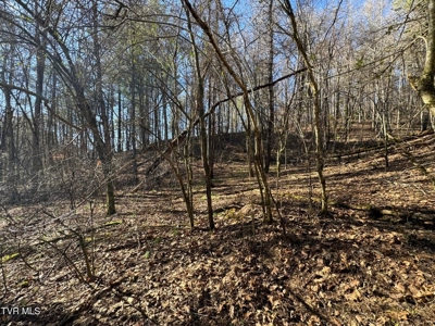 32.08 Acres For Sale in Unicoi County, Tennessee - image 27