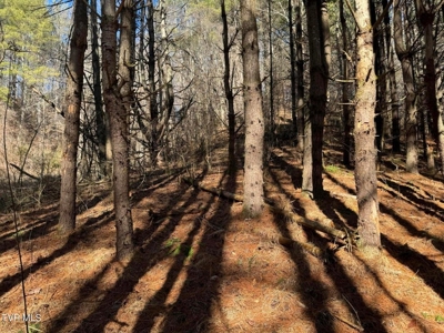 32.08 Acres For Sale in Unicoi County, Tennessee - image 23