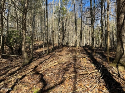 32.08 Acres For Sale in Unicoi County, Tennessee - image 8