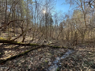 32.08 Acres For Sale in Unicoi County, Tennessee - image 28