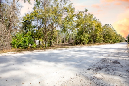 Land For Sale In North Florida Near Santa Fe River - image 14