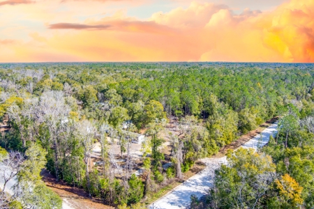 Land For Sale In North Florida Near Santa Fe River - image 2