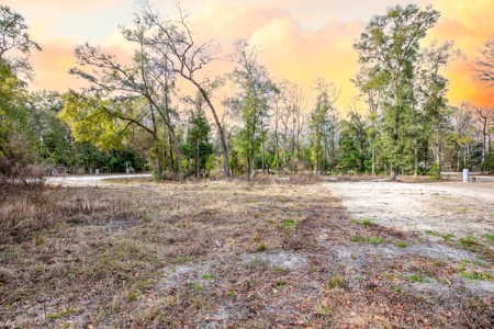 Land For Sale In North Florida Near Santa Fe River - image 12
