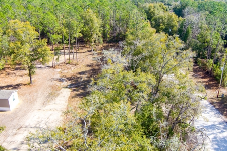 Land For Sale In North Florida Near Santa Fe River - image 3