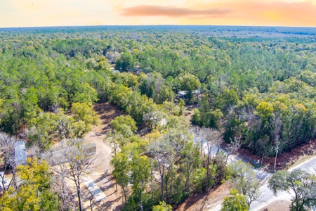 Land For Sale In North Florida Near Santa Fe River - image 6