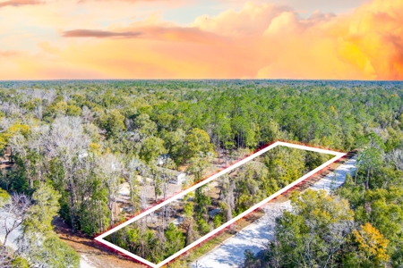 Land For Sale In North Florida Near Santa Fe River - image 1