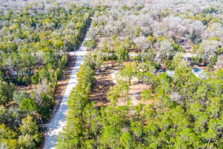 Land For Sale In North Florida Near Santa Fe River - image 5
