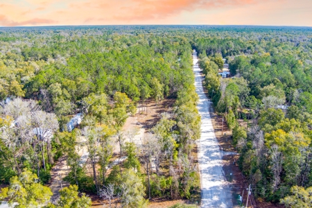 Land For Sale In North Florida Near Santa Fe River - image 13