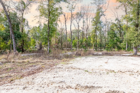 Land For Sale In North Florida Near Santa Fe River - image 11