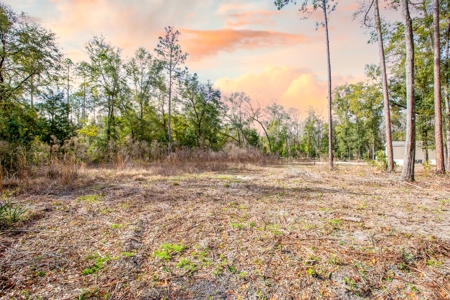 Land For Sale In North Florida Near Santa Fe River - image 10