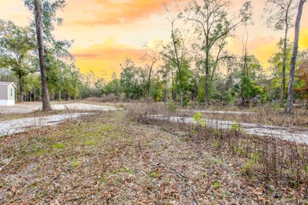Land For Sale In North Florida Near Santa Fe River - image 8