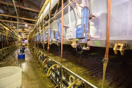 Excellent Dairy Property In Texas - image 7