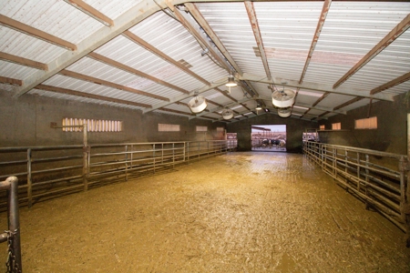 Excellent Dairy Property In Texas - image 8