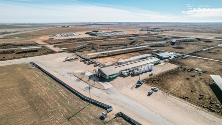 Excellent Dairy Property In Texas - image 2