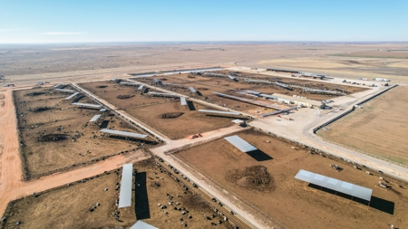 Excellent Dairy Property In Texas - image 1