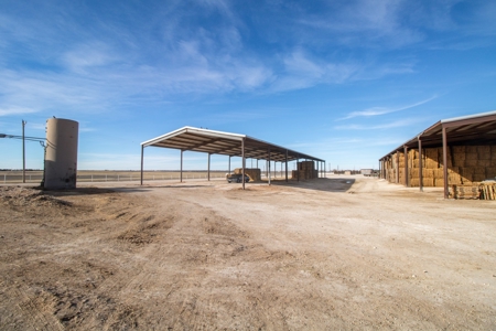 Excellent Dairy Property In Texas - image 23