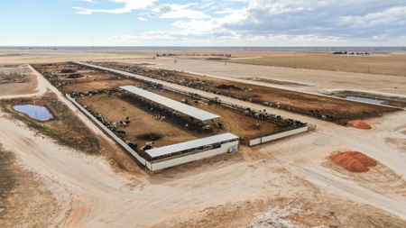 Excellent Dairy Property In Texas - image 36