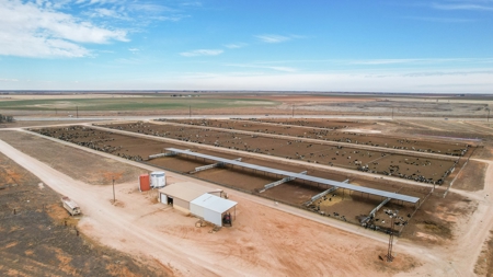 Excellent Dairy Property In Texas - image 31
