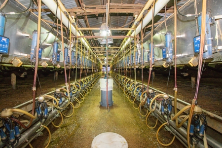 Excellent Dairy Property In Texas - image 6