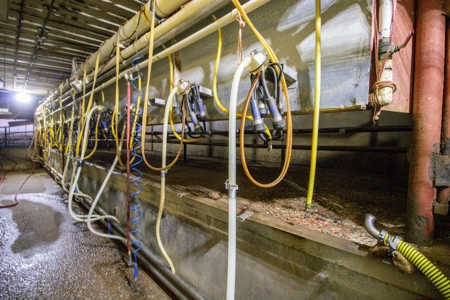 Excellent Dairy Property In Texas - image 18