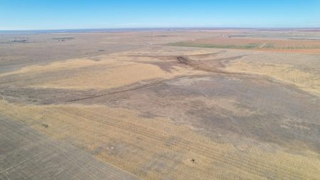 Excellent Dairy Property In Texas - image 38