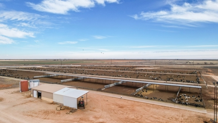 Excellent Dairy Property In Texas - image 32
