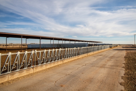 Excellent Dairy Property In Texas - image 34