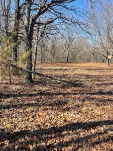 373 Acres of Land for Sale in Ava, Missouri - image 16