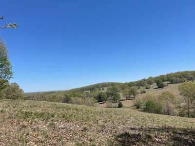 373 Acres of Land for Sale in Ava, Missouri - image 37