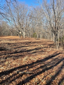 373 Acres of Land for Sale in Ava, Missouri - image 7