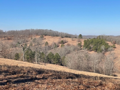 373 Acres of Land for Sale in Ava, Missouri - image 6