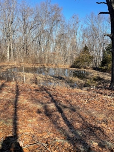 373 Acres of Land for Sale in Ava, Missouri - image 2